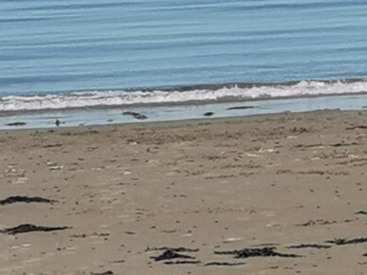 Snowdonia Sunbeach Holiday Sea And Mountain View Llwyngwril エクステリア 写真