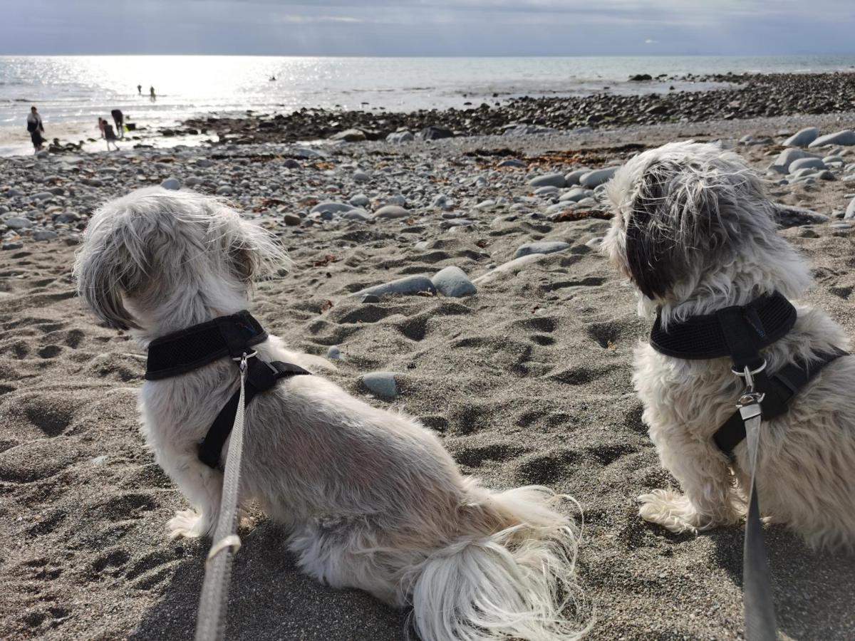 Snowdonia Sunbeach Holiday Sea And Mountain View Llwyngwril エクステリア 写真